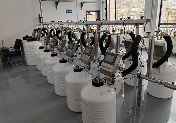 液氮自動補液系統定制